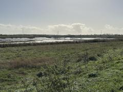 View across to Down End